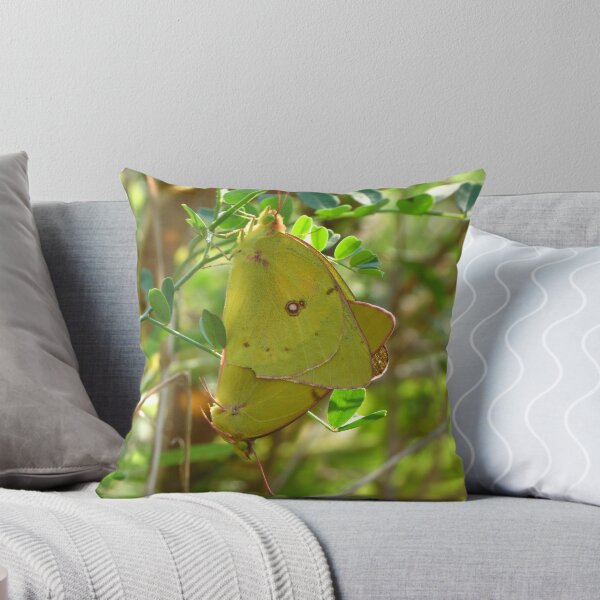 Item preview, Yellow Sulphur Butterfly Pair designed and sold by Ron Russell.