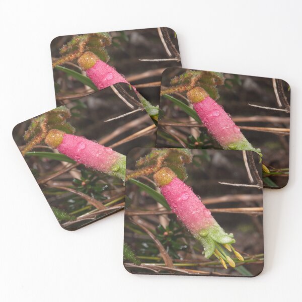 Item preview, Correa in the rain (Correa reflexa) designed and sold by AlienMind.