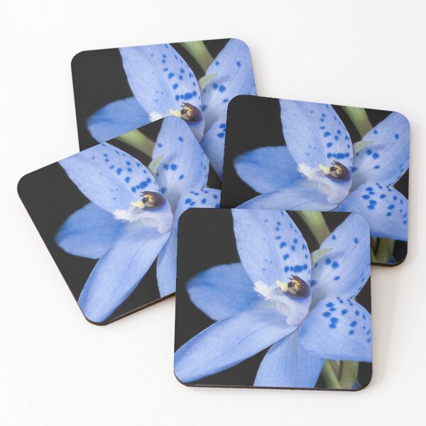 Item preview, Sun Orchid in the light (Thelymitra ixioides) designed and sold by AlienMind.