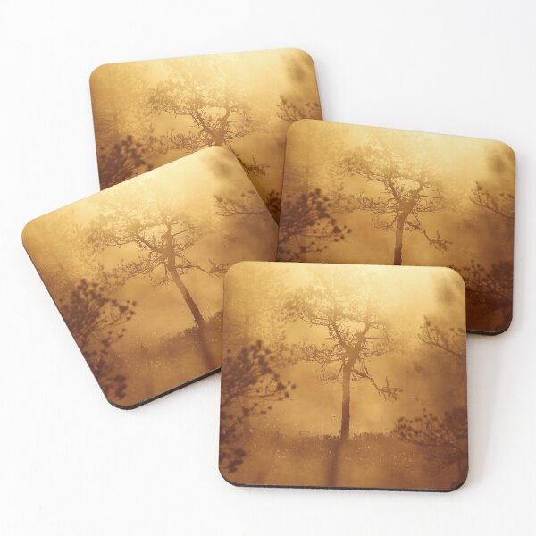 Item preview, 13.6.2020: Pine Tree in Morning Mist designed and sold by Petri Volanen.