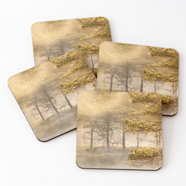 Item preview, 13.6.2020: Pine Trees in Morning Mist designed and sold by Petri Volanen.
