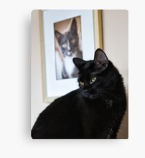 Cat Picture Canvas Print