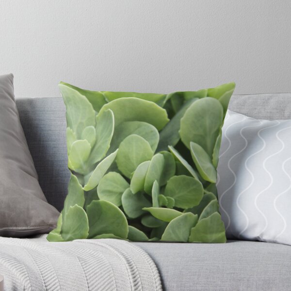 Item preview, Sedum perennial fleshy purple decorative plant	 designed and sold by EstelleRossetti.
