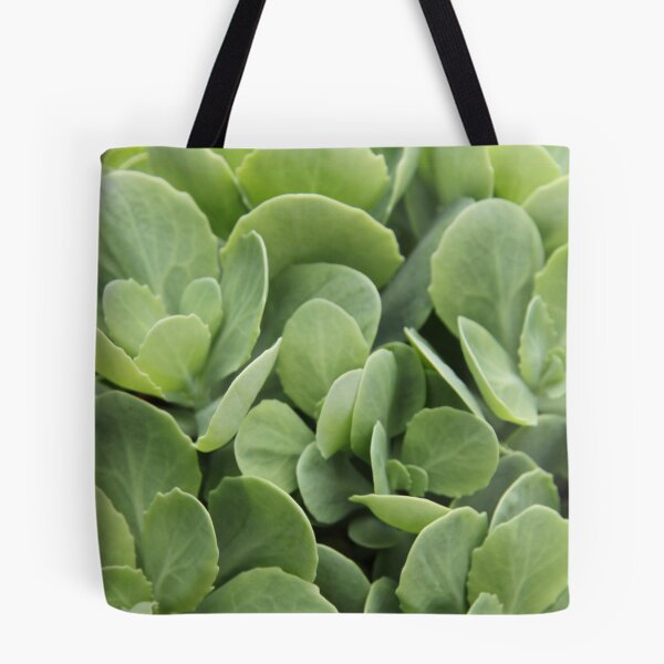 Item preview, Sedum perennial fleshy purple decorative plant	 designed and sold by EstelleRossetti.