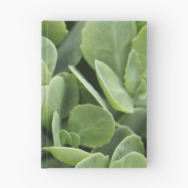 Item preview, Sedum perennial fleshy purple decorative plant	 designed and sold by EstelleRossetti.