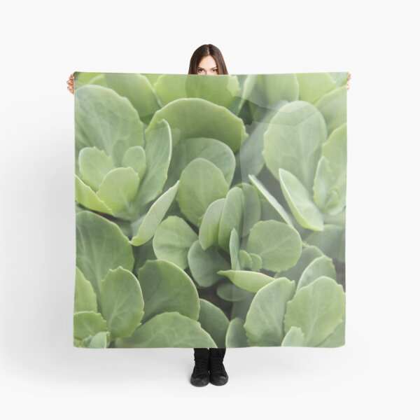 Item preview, Sedum perennial fleshy purple decorative plant designed and sold by EstelleRossetti.