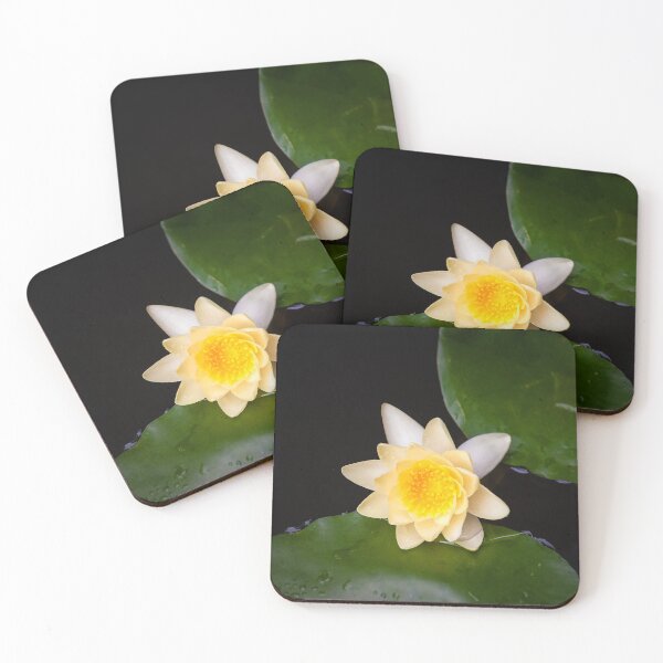 Item preview, Water lily with dark green background designed and sold by Maks08.