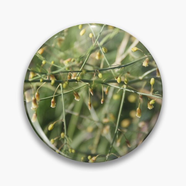 Item preview, Spontaneous asparagus vegetable in bloom	 designed and sold by EstelleRossetti.