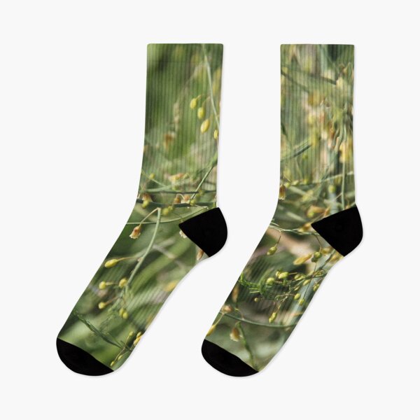Item preview, Spontaneous asparagus vegetable in bloom designed and sold by EstelleRossetti.