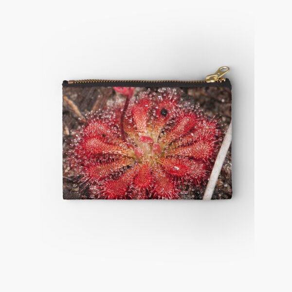 Item preview, A Sticky Demise (Drosera spatulata) designed and sold by AlienMind.