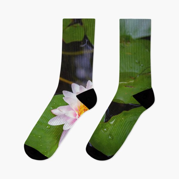 Item preview, Water lily with dark green leaves designed and sold by Maks08.