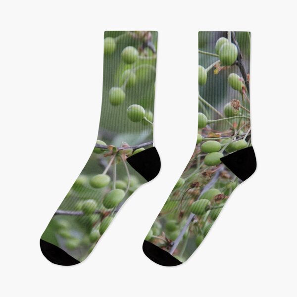 Item preview, Sour tart dwarf young cherries on a tree	 designed and sold by EstelleRossetti.