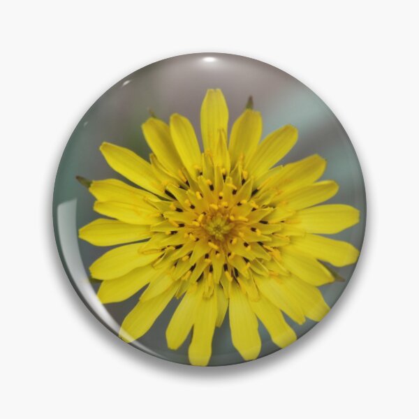 Item preview, Meadow showy goat's beard salsify yellow flower	 designed and sold by EstelleRossetti.
