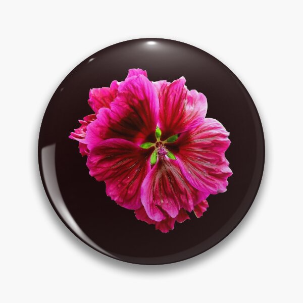 Item preview, Mallow Harbor City Rose Hollyhock designed and sold by achgottchen.