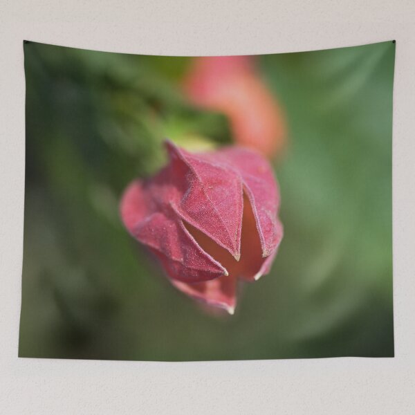 Item preview, Chinese Lantern In June designed and sold by Joy Watson - Natural Light Photography .