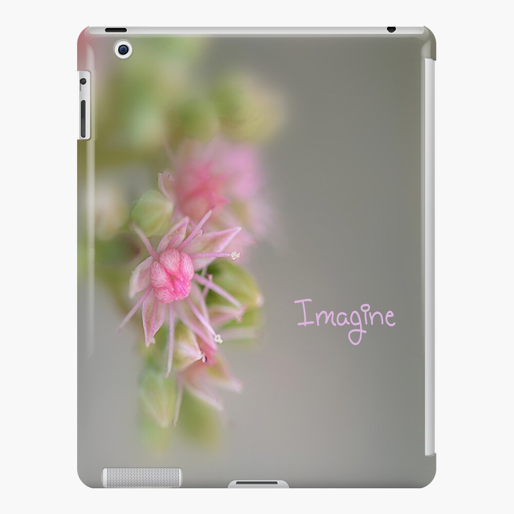 Imagine for iPad iPad Case & Skin