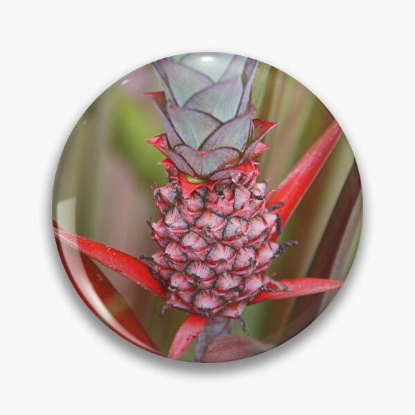 Item preview, Bromeliad designed and sold by Carole-Anne.