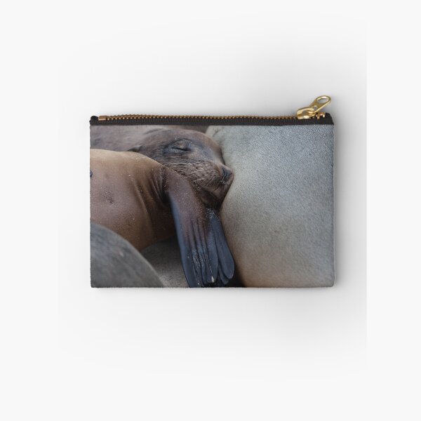 Aperçu de l'œuvre galapagos islands sea lions créée et vendue par Withns.