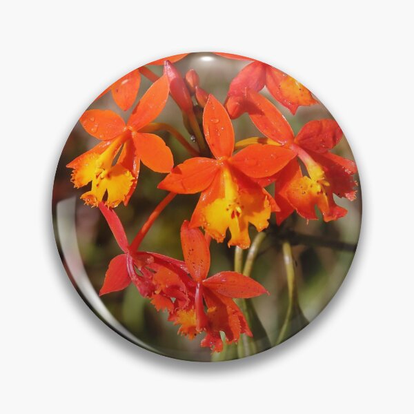 Item preview, Crucifix Orchids designed and sold by Carole-Anne.