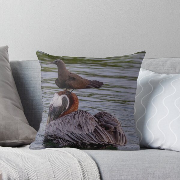 Item preview, Galapagos Islands Pelican with Brown Noddy designed and sold by Withns.