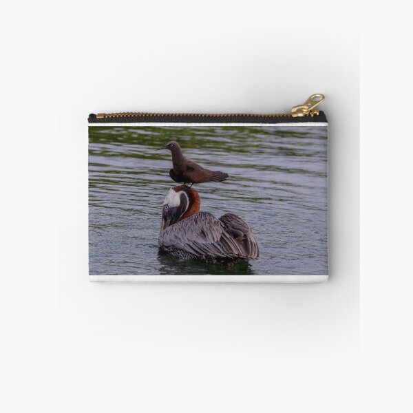 Item preview, Galapagos Islands Pelican with Brown Noddy designed and sold by Withns.