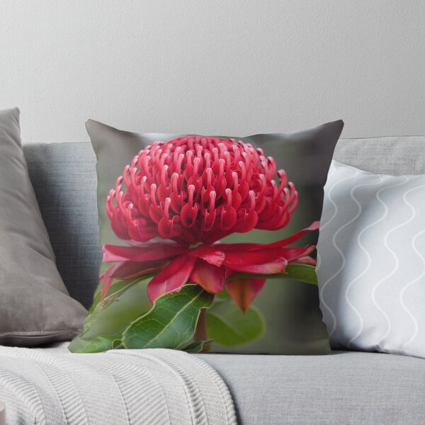 Item preview, A Crimson Beauty (Telopea speciosissima) designed and sold by AlienMind.