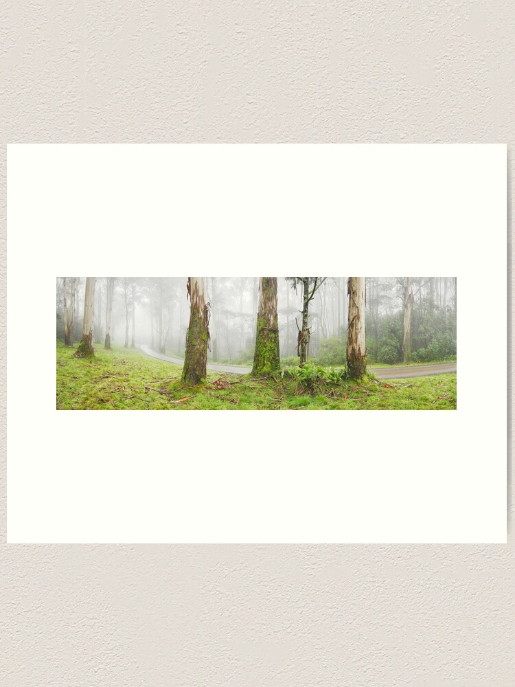 Thumbnail 2 of 3, Art Print, Road to Mt Macedon, Victoria, Australia designed and sold by Michael Boniwell.