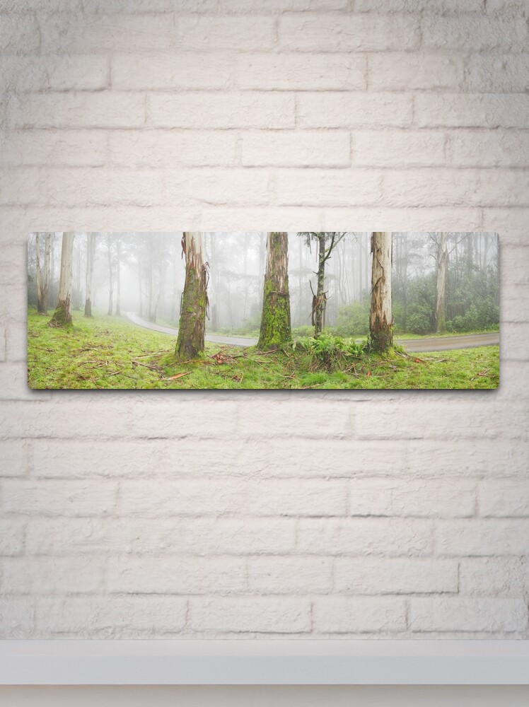Metal Print, Road to Mt Macedon, Victoria, Australia designed and sold by Michael Boniwell