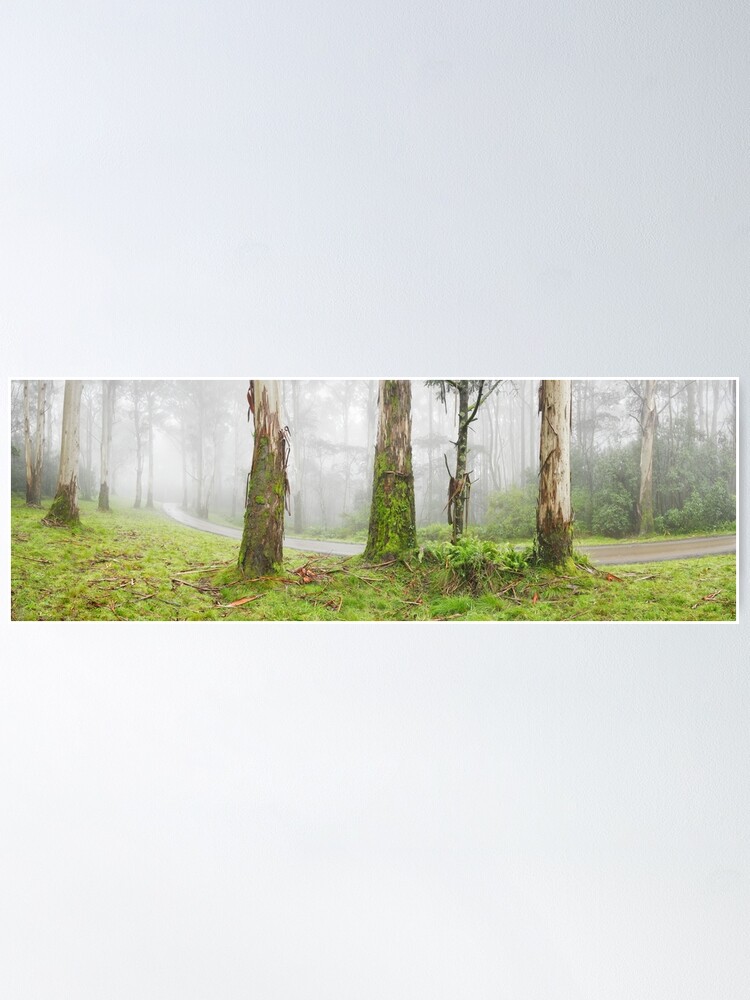 Thumbnail 1 of 3, Poster, Road to Mt Macedon, Victoria, Australia designed and sold by Chockstone.