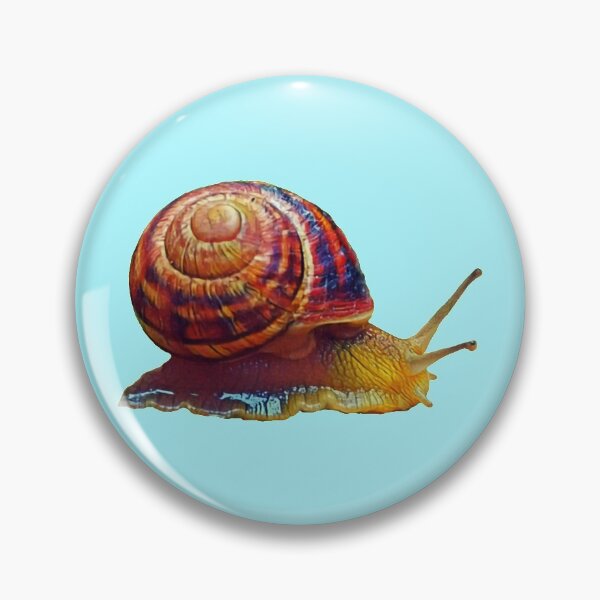 Item preview, Scrawling edible snail designed and sold by helenkaiy.