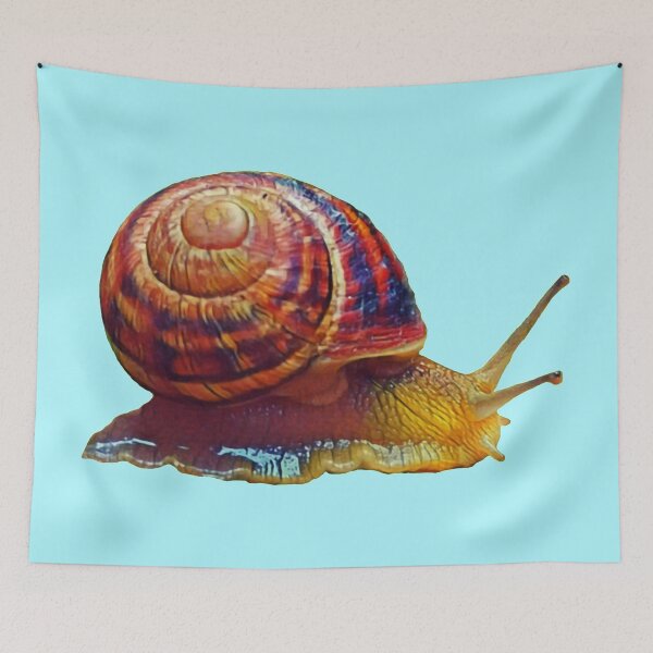 Item preview, Scrawling edible snail designed and sold by helenkaiy.