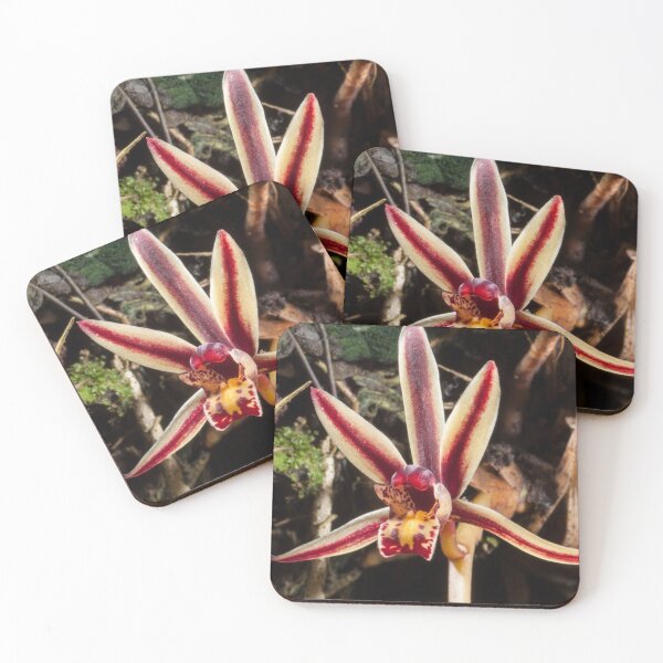 Item preview, Two-Toned Dragon (Cymbidium bicolor) designed and sold by AlienMind.
