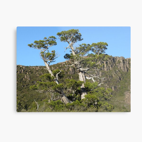 Item preview, Pencil Pines Mount Olympus - photo Peter designed and sold by PeterJF.