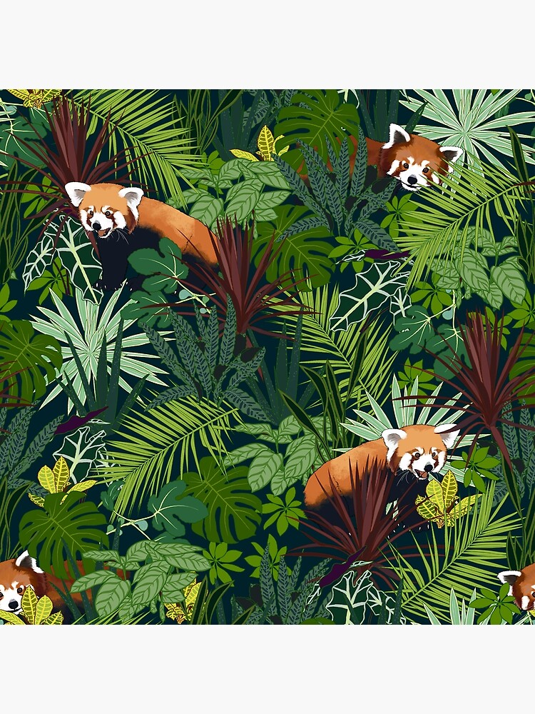 jacob's jungle of books