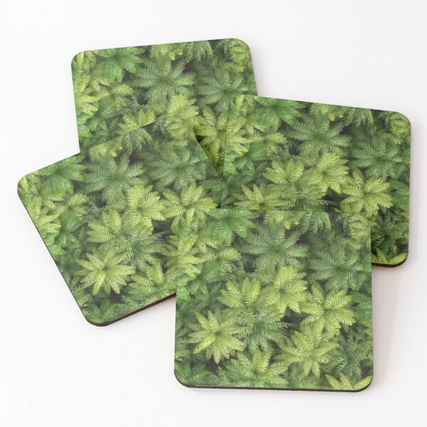 Item preview, green palm foliage background designed and sold by Mike Kiev art.