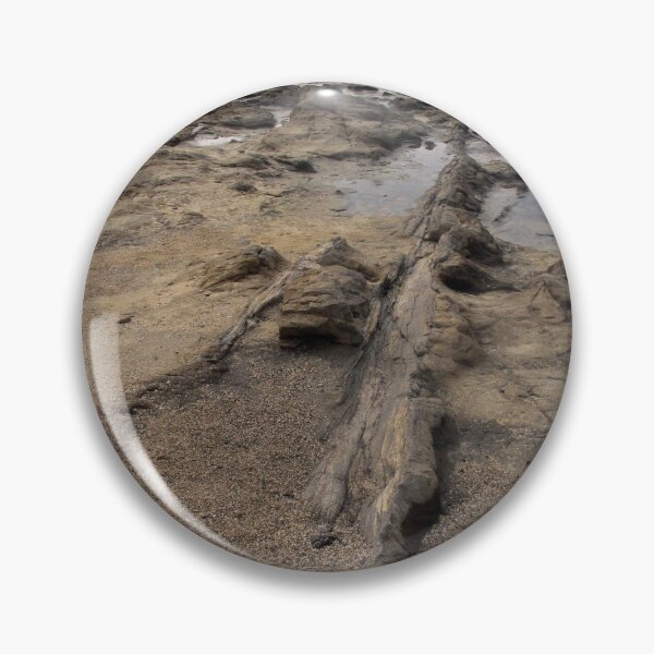 Item preview, Fossil Forest Tree Trunk designed and sold by coffeebean.