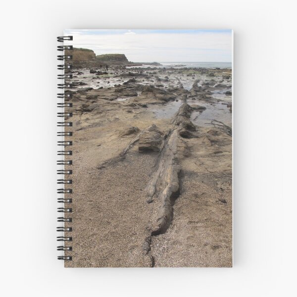 Item preview, Fossil Forest Tree Trunk designed and sold by coffeebean.