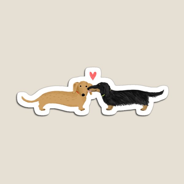 Aperçu de l'œuvre Les teckels aiment les chiens avec du cœur, des chiens Wiener mignons créée et vendue par Jenn Inashvili.