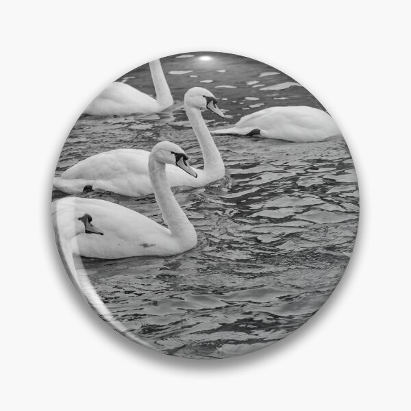 Item preview, Elegant mute swans swimming the River Bure in the heart of the Norfolk Broads designed and sold by yackers1.