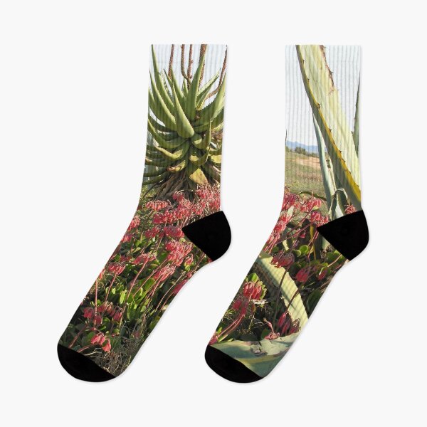 Item preview, Wild Succulent Plant Aloe Flowers Countryside, South Africa designed and sold by worldways.