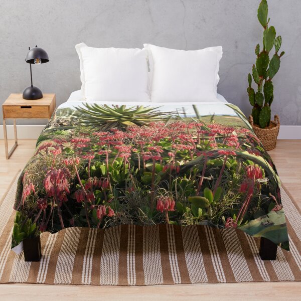 Item preview, Wild Succulent Plant Aloe Flowers Countryside, South Africa designed and sold by worldways.