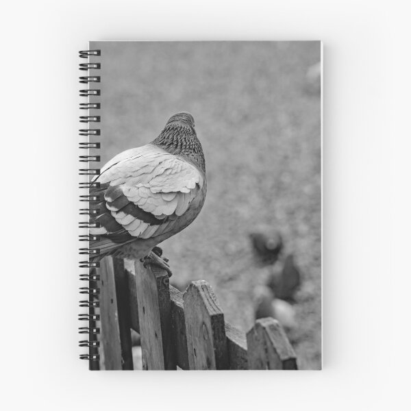 Item preview, On the fence designed and sold by yackers1.