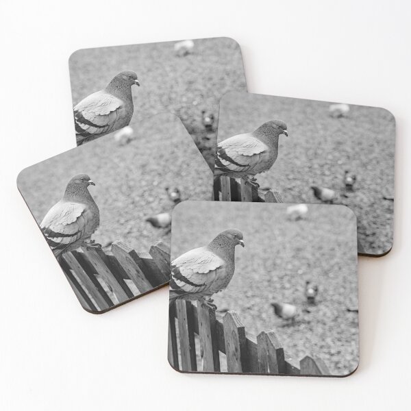 Item preview, Pigeon on the fence designed and sold by yackers1.