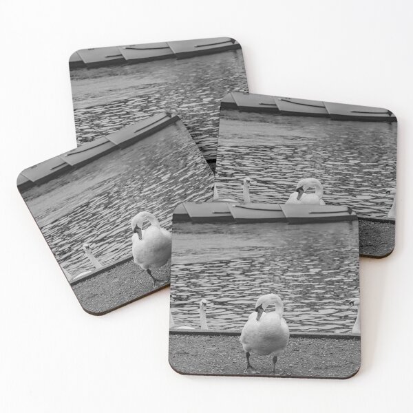 Item preview, Mute swan on the bank of the River Bure in the Norfolk village of Wroxham designed and sold by yackers1.