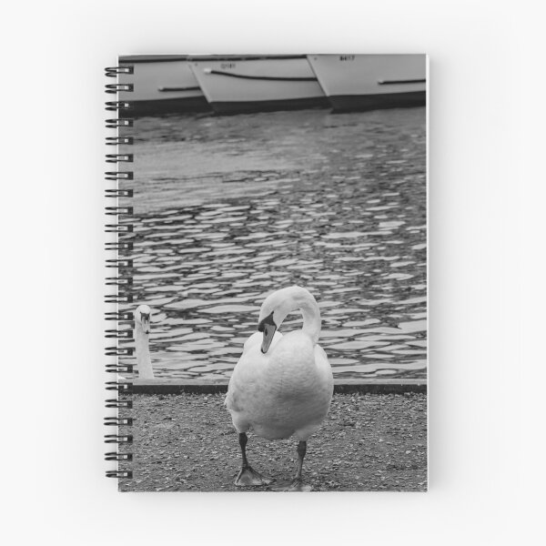 Item preview, Mute swan on the bank of the River Bure in the Norfolk village of Wroxham designed and sold by yackers1.