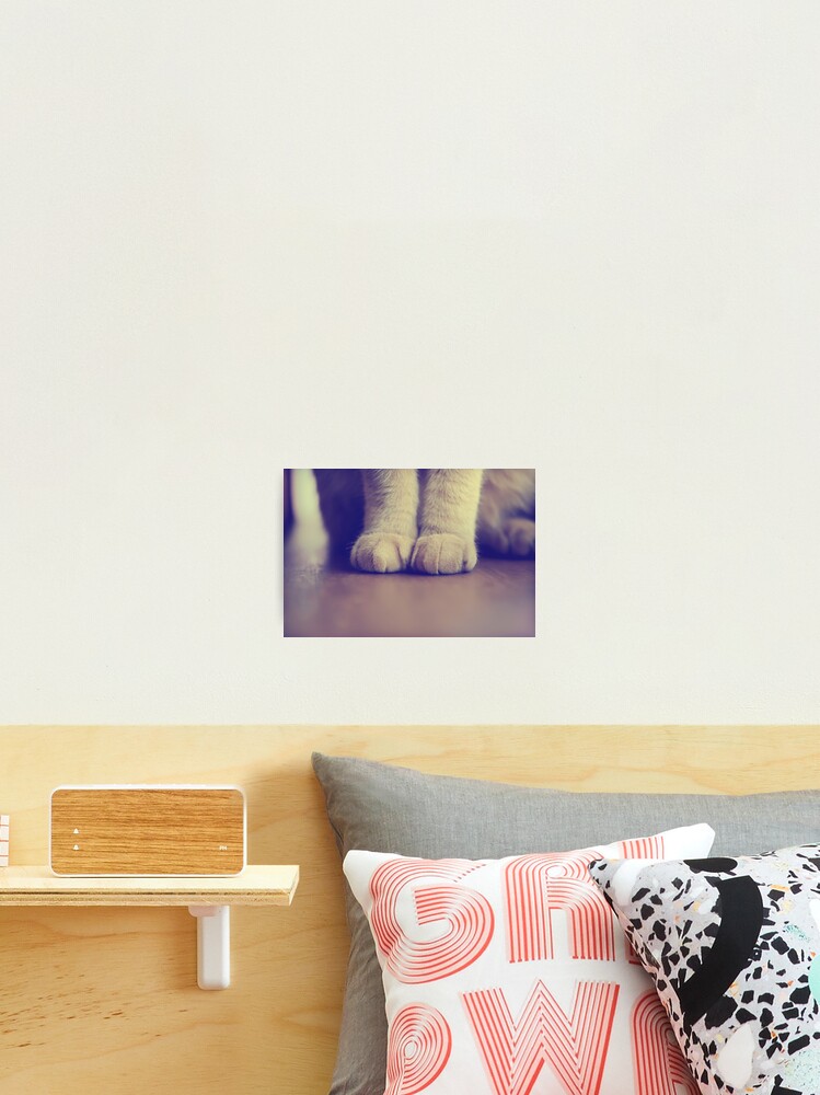 Thumbnail 2 of 3, Photographic Print, Day 47 - 26th August 2011 designed and sold by petegrev.