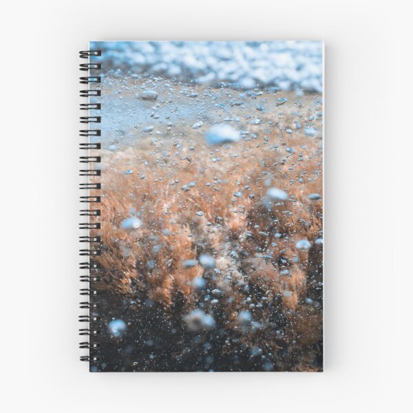 Item preview, SEA LOVER - BLUE AND ORANGE - POSTER - UNDERWATER PHOTOS  designed and sold by Tropical Blood.
