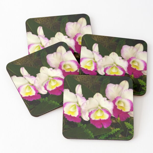 Item preview, Cattleya Orchid Trio designed and sold by richardbryce.