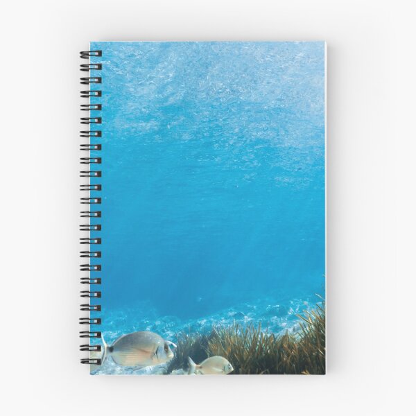 Item preview, PHOTO - POSTER - MALLORCA -SEA - SEA LOVER - OCEAN - UNDERWATER  designed and sold by Tropical Blood.