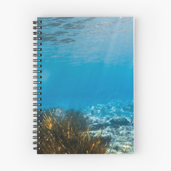 Item preview, PHOTO - POSTER - MALLORCA -SEA - SEA LOVER - OCEAN - UNDERWATER  designed and sold by Tropical Blood.